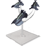 Star Trek Attack Wing Scorpion 4 Expansion Star Trek Attack Wing Scorpion 4 Expansion