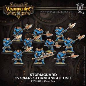 31099 Stormguard