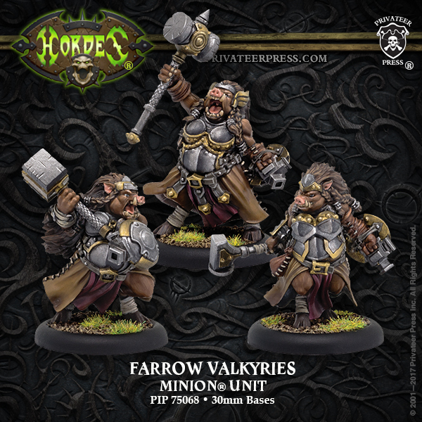 75068 Farrow Valkyries