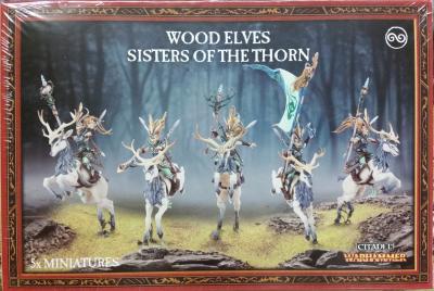 Wood Elves Sisters of the Thorn / Wild Riders