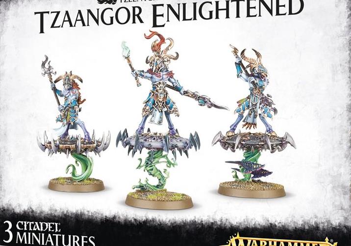 Tzaangor Enlightened / Skyfires
