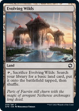 Evolving Wilds (Foil)