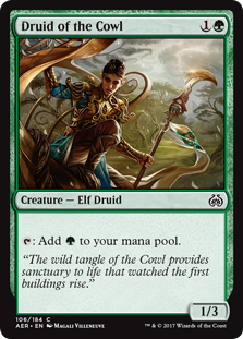 Druid of the Cowl (Foil)