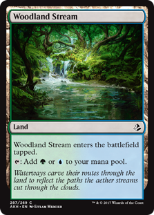 Woodland Stream Woodland Stream