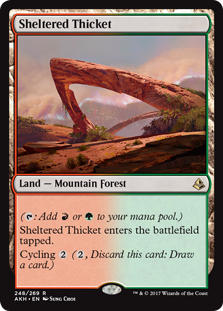 Sheltered Thicket (Foil)