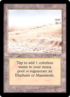 Elephant Graveyard Elephant Graveyard