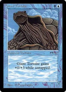 Giant Tortoise Giant Tortoise