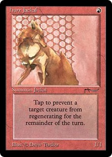 Hurr Jackal Hurr Jackal
