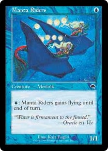 Manta Riders