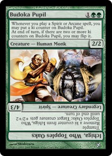 Budoka Pupil (Foil)