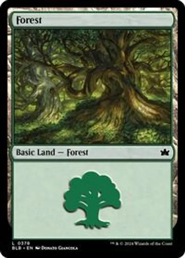 Forest (0378)