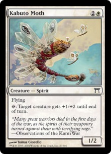 Kabuto Moth Kabuto Moth