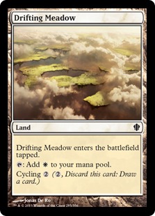Drifting Meadow Drifting Meadow