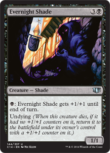 Evernight Shade Evernight Shade