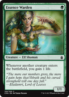 Essence Warden Essence Warden