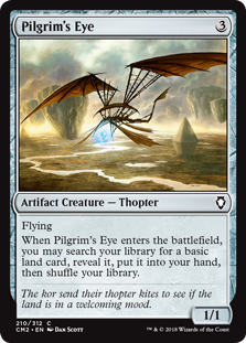 Pilgrim's Eye