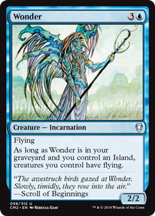 Wonder Wonder