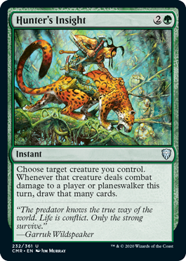 Hunter's Insight (Foil)