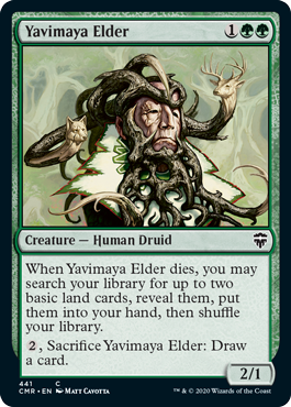 Yavimaya Elder (Foil)