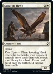 Scouting Hawk (Foil)