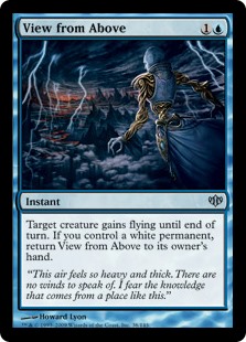 View from Above (Foil)