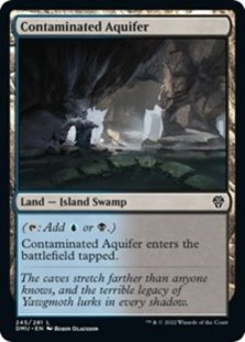 Contaminated Aquifer (Foil)