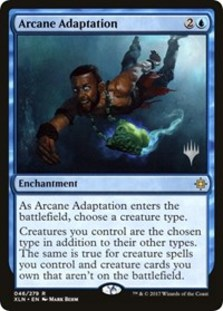 Arcane Adaptation (Foil)
