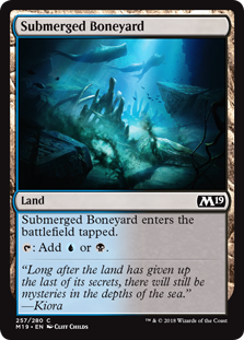 Submerged Boneyard Submerged Boneyard