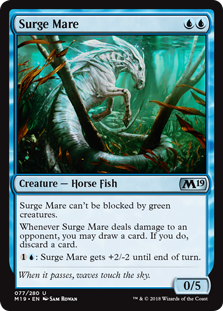 Surge Mare Surge Mare