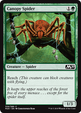 Canopy Spider