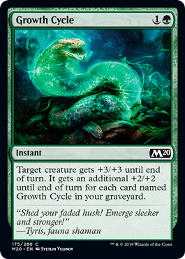 Growth Cycle (Foil) Growth Cycle (Foil)