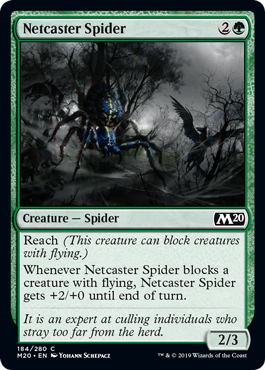 Netcaster Spider (Foil)