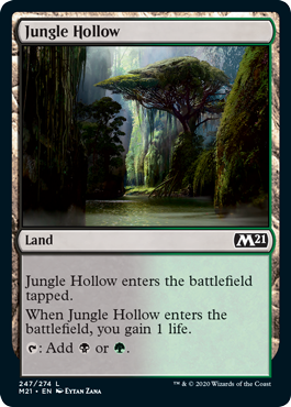 Jungle Hollow Jungle Hollow