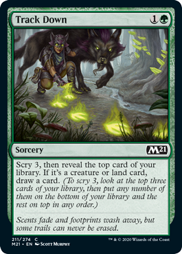Track Down (Foil)