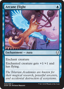 Arcane Flight (Foil)