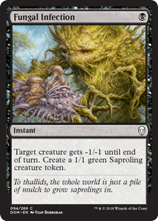 Fungal Infection (Foil)