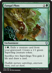 Fungal Plots (Foil)