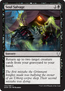 Soul Salvage (Foil) Soul Salvage (Foil)
