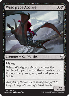 Windgrace Acolyte (Foil) Windgrace Acolyte (Foil)