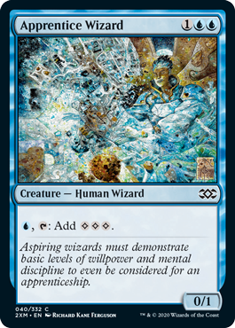 Apprentice Wizard (Foil)
