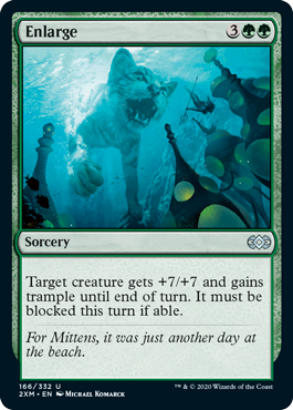 Enlarge (Foil)
