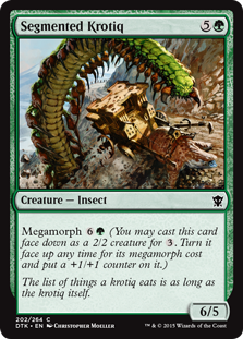Segmented Krotiq Segmented Krotiq