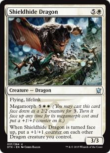Shieldhide Dragon Shieldhide Dragon