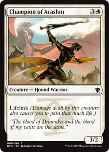 Champion of Arashin (Foil)