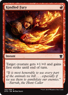 Kindled Fury (Foil)