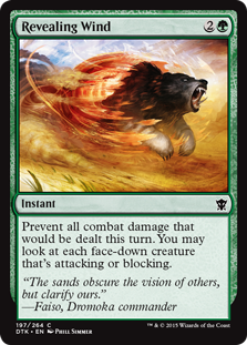 Revealing Wind (Foil)