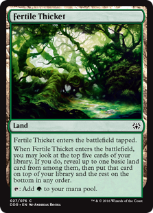 Fertile Thicket Fertile Thicket
