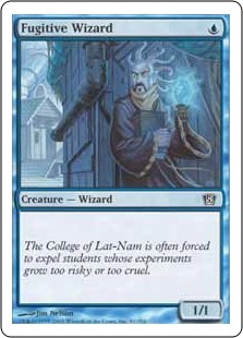 Fugitive Wizard Fugitive Wizard