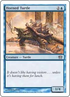 Horned Turtle Horned Turtle