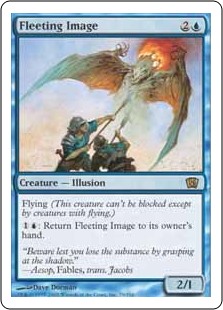 Fleeting Image (Foil)